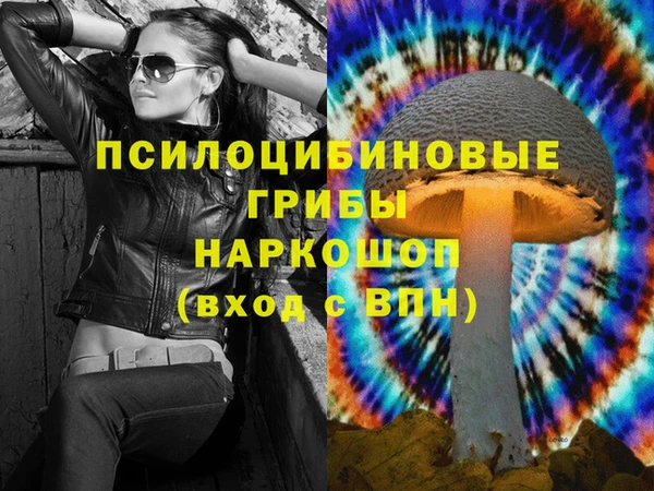 молекула духа Баксан
