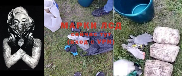 гашик Арсеньев