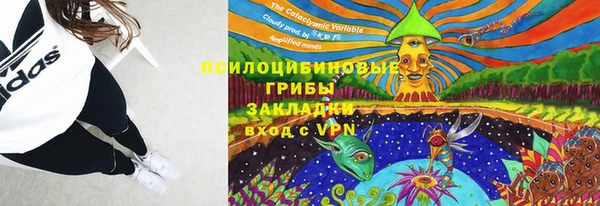 гашик Арсеньев