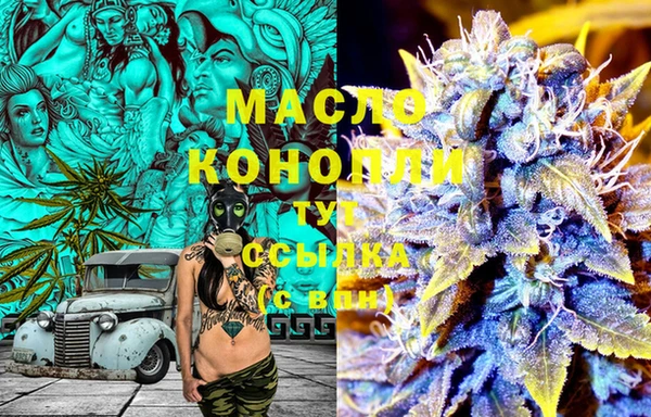 ECSTASY Няндома