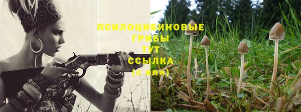 прущие крисы Аркадак