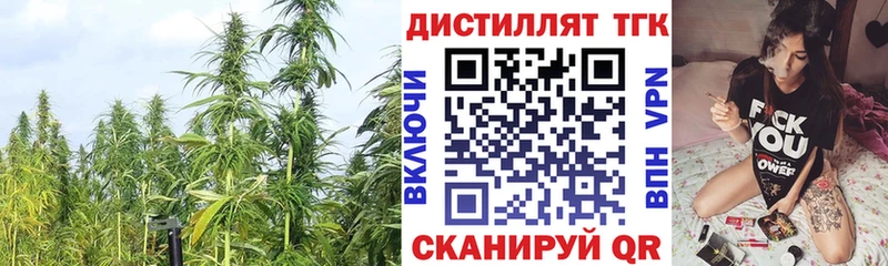 ТГК Wax Севск