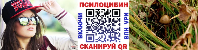 Псилоцибиновые грибы мухоморы  Севск 
